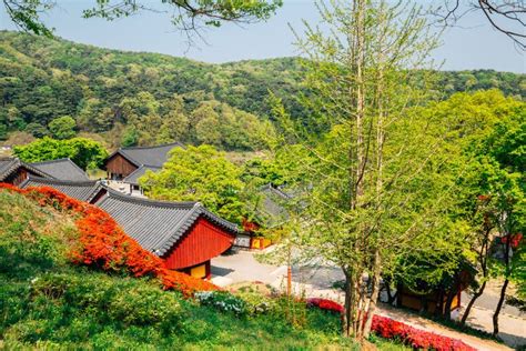 안성 가볼만한곳: 시간을 거슬러 올라가는 여행